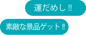 運試し・素敵なプレゼント
